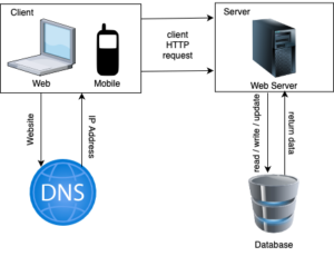 client server database